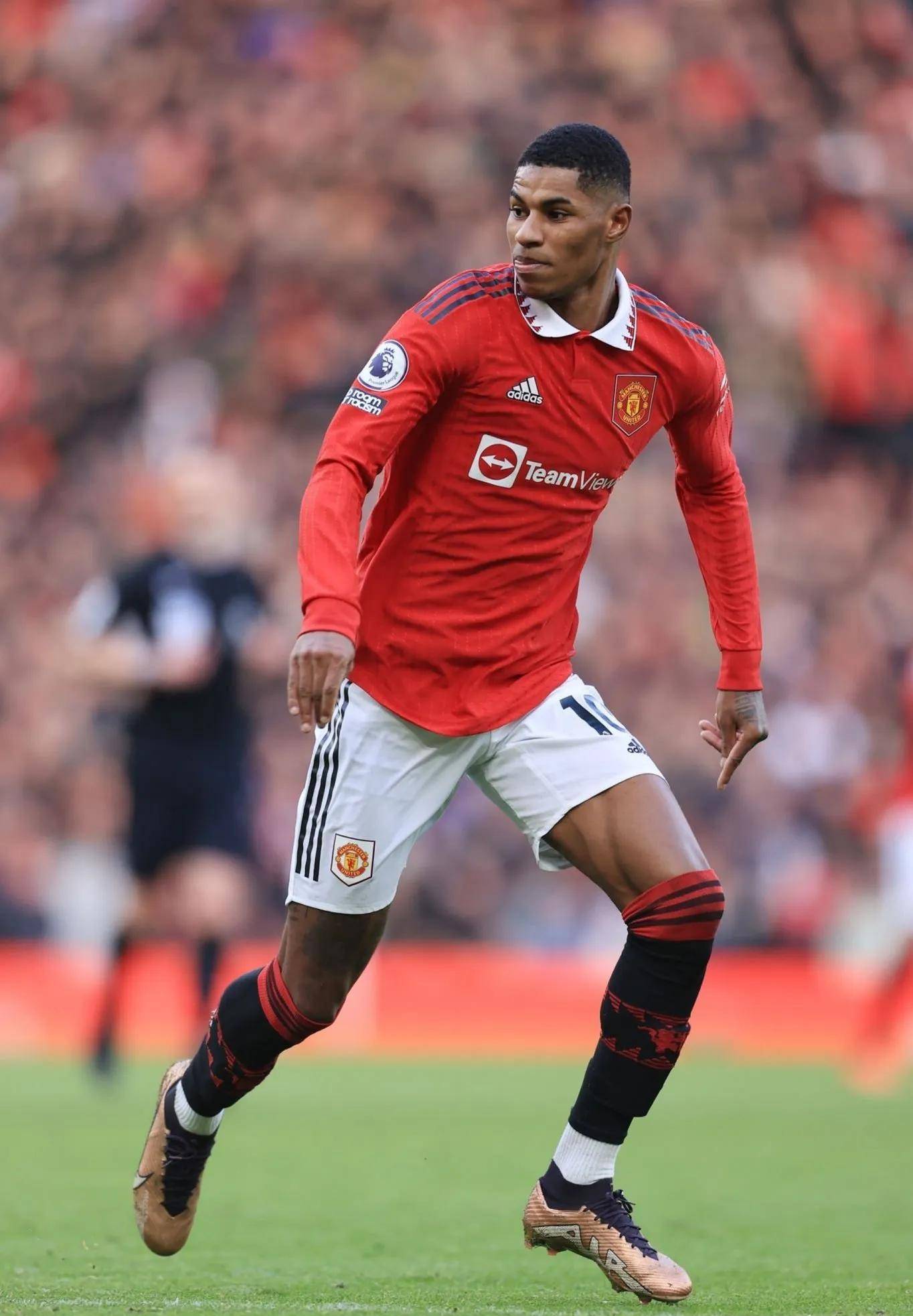 张之臻的成 张之臻的成